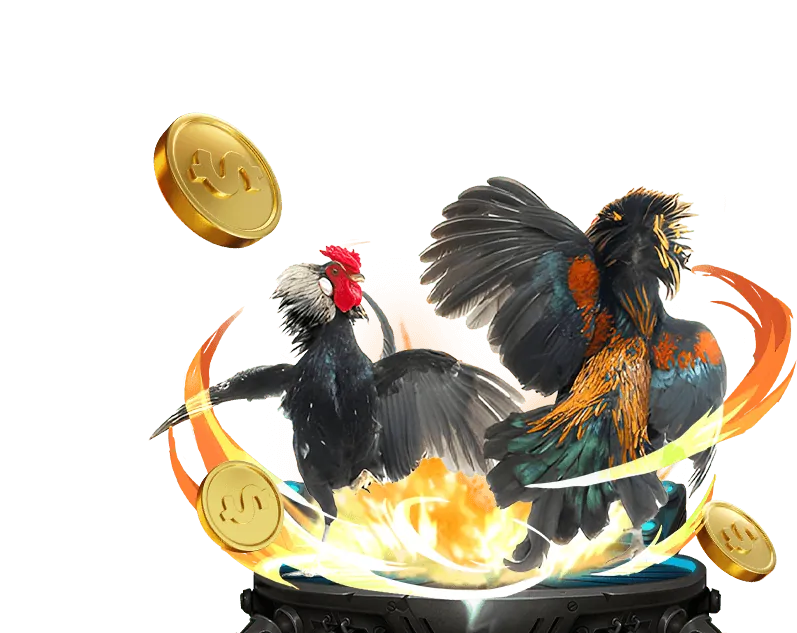 Khuyến Mãi Đá Gà Hấp Dẫn 777vin